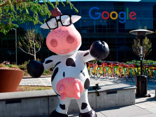 Como tornar vacas e pessoas felizes é tema de live que faz parte do Ideas for Milk 2020