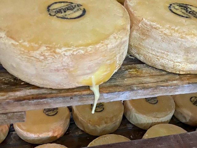 Singapura demonstra interesse em produtos lácteos de MS