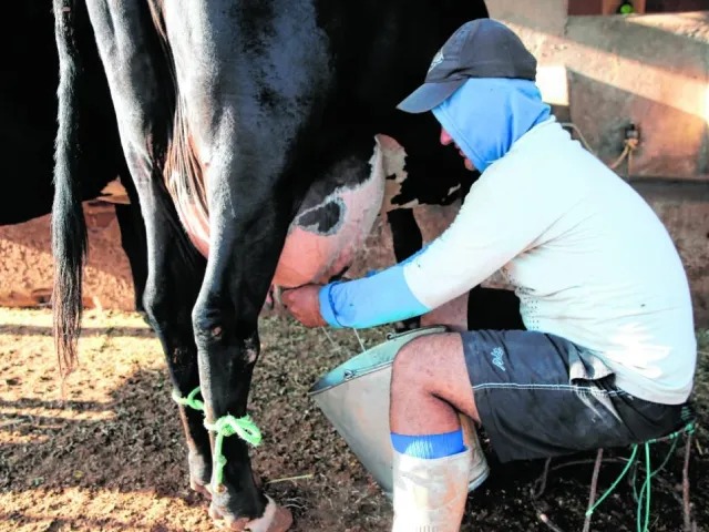 Preço pago aos produtores de leite do CE desestimula produção