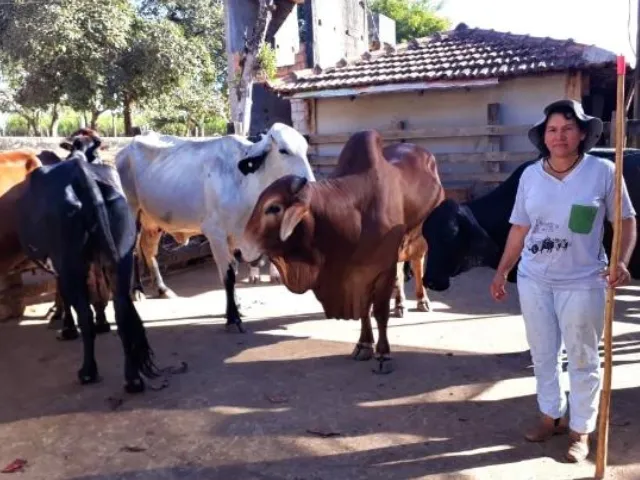 Produtora rural assume atividades em propriedade da família e vira referência
