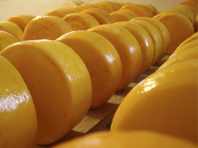 Regulamentação do queijo artesanal em MG impulsiona produção no Campo das Vertentes