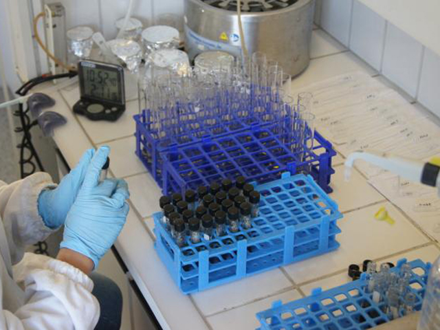 Detecção rápida de beta-caseína A1 no leite por novo teste baseado em DNA