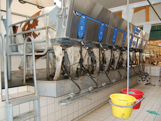 Faesc avalia que alta nos preços do leite não reflete a ganhos aos produtores