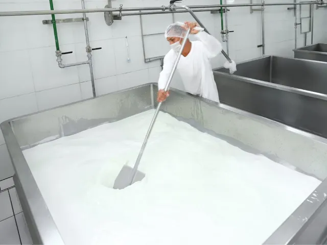 Produção de queijo segue em expansão no Amazonas