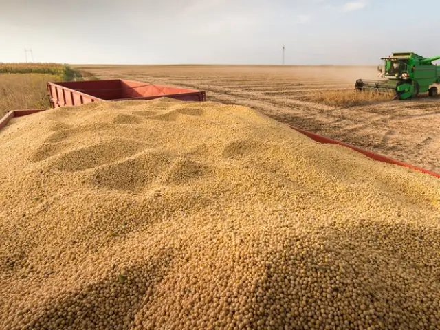 Produção de grãos deve superar 268 milhões de toneladas na safra 2020/21