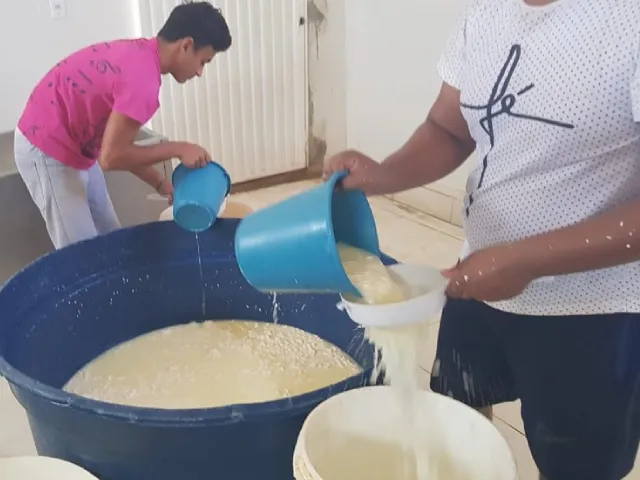 Ministério Público decide multar em R$ 20 mil dono de fábrica clandestina de queijo no Piauí