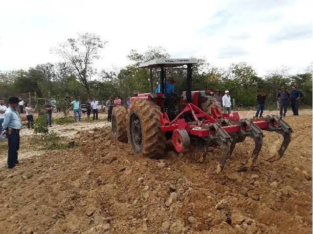 Revitalização de pastagens beneficia produtores rurais no norte de Minas