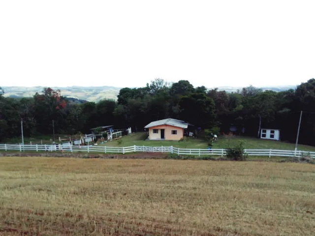 Programa Empreendedor Rural transforma propriedade leiteira em Marquinho-PR