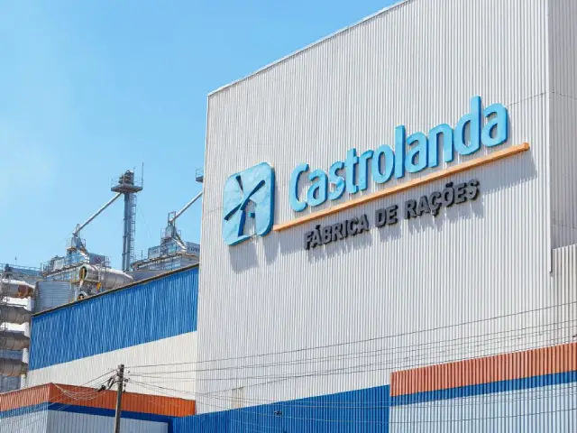 Castrolanda expande produção de ração animal com investimento de R$ 770 mil
