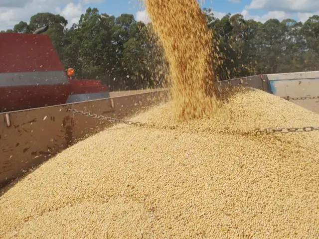 Importações de soja do Brasil pela China aumentaram 51,4% em setembro
