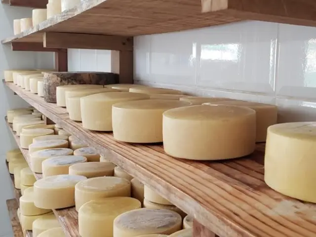 Queijo D’Alagoa-MG abre vagas de Degustador para comemorar aniversário