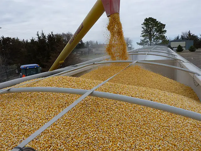 Governo estuda novos mecanismos para baratear importação de milho