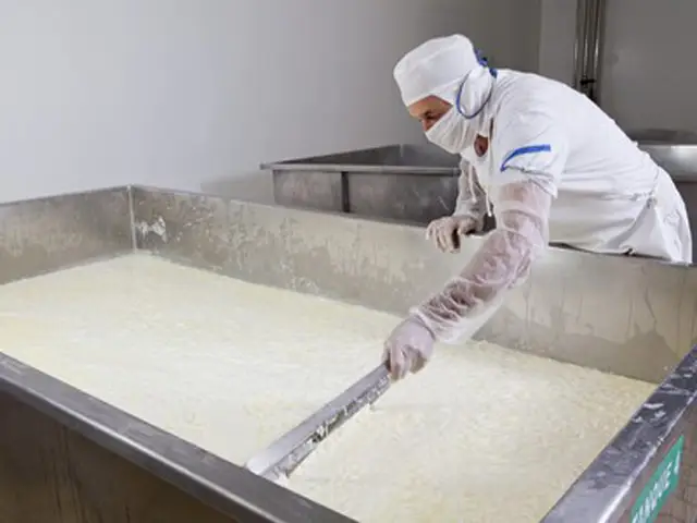 Laticínios gaúchos querem apoio do governo para escoar produção