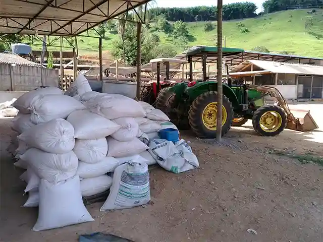 Negociações envolvendo milho estão em ritmo lento no Brasil