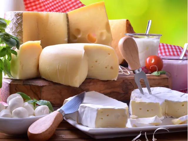 Papel dos lácteos no sistema de alimentação global é destacado pela USDEC