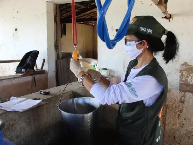 Produtores de leite de Major Izidoro-AL atendidos pelo Agronordeste aumentam lucro mensal em até 650%