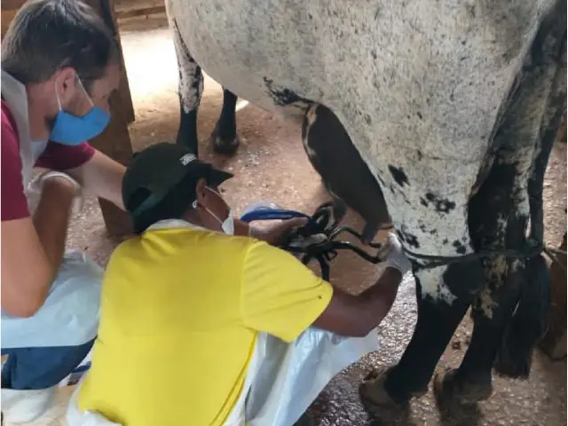 Produtores de Paracatu-MG ligados na qualidade do leite