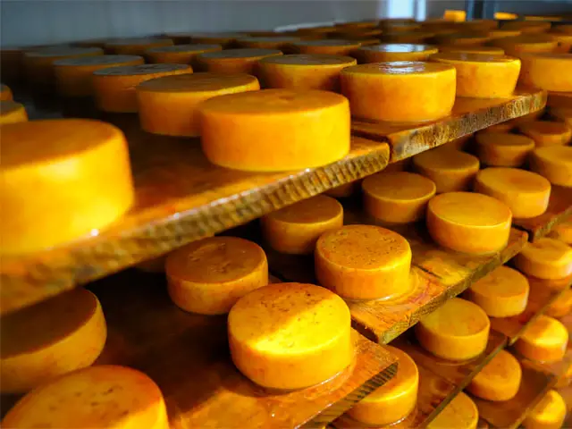 Ministério da Agricultura abre consulta pública sobre elaboração de queijos artesanais