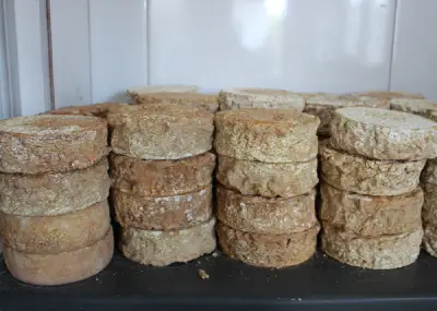 Queijo Artesanal