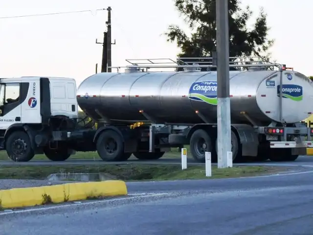 Exportadora de laticínios sul-americana Conaprole aumenta sua aposta no setor lácteo