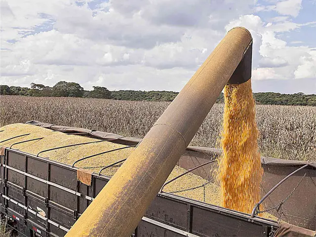Exportações de milho da Argentina serão suspensas para atender demanda interna