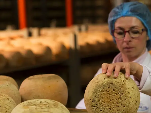 Lactalis cria seu próprio CFA para produção de queijos