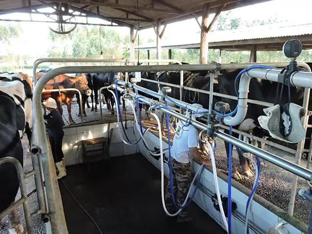 O primeiro laboratório particular de análise do leite do RS será em Ijuí