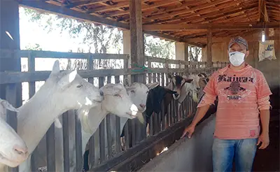 Pecuaristas paraibanos atendidos pelo Senar relatam melhoria no desempenho da produção de leite