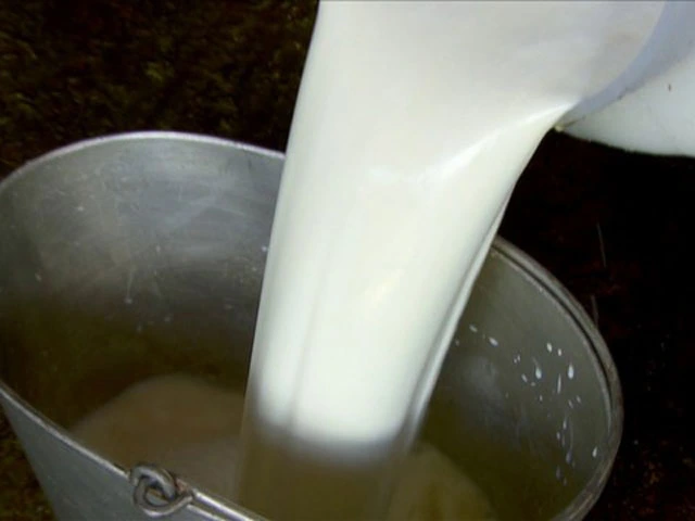Maior oferta sinaliza queda de preço dos produtos lácteos no Paraná