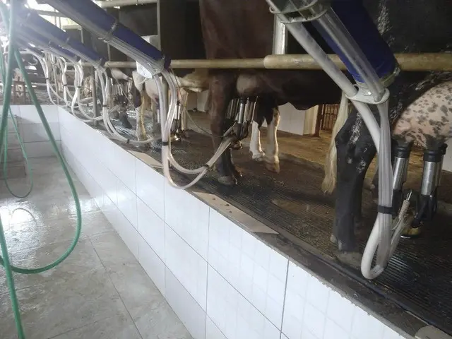 Preços do leite pagos ao produtor no mês de Janeiro/21, segundo Cepea