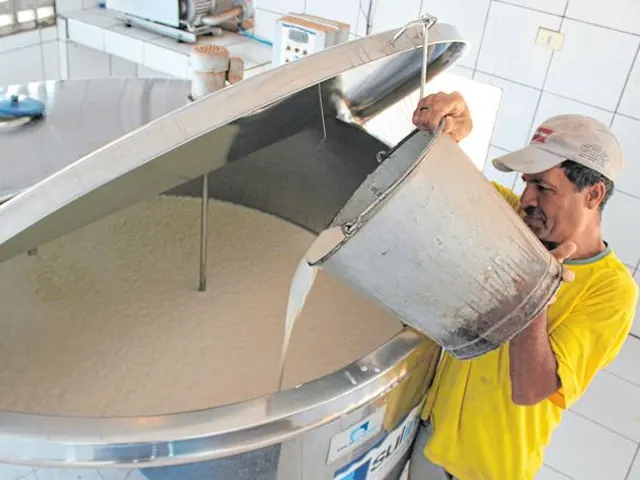 Produtores de leite do Ceará miram no cooperativismo para alavancar setor leiteiro