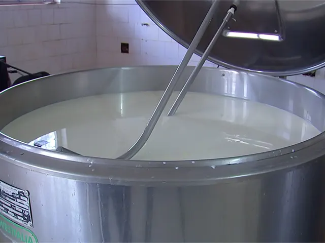 Produtores de leite da Argentina afirmam receber os preços mais baixos do mundo