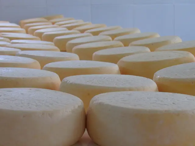 Embalagem inteligente para queijo Minas artesanal