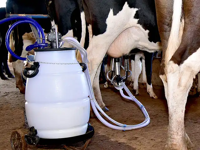 CNA debate crise do setor lácteo