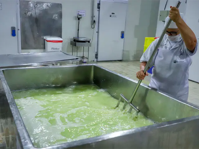 CMN autoriza financiamento para beneficiamento e industrialização de leite