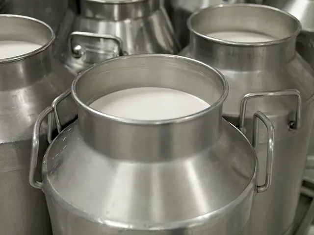 Preços dos lácteos continuam em queda no mercado atacadista