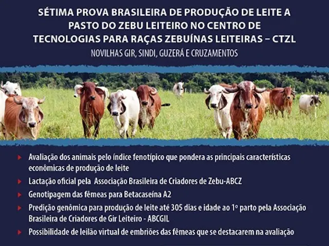 7ª Prova de Leite a Pasto da Embrapa no DF abre inscrições em junho