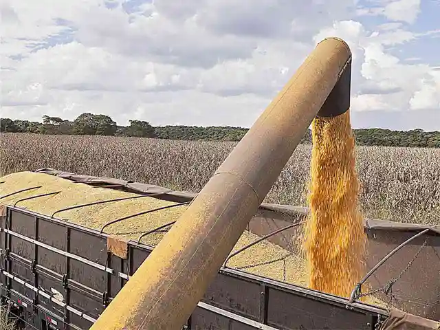 Produtividade do milho no RS fica abaixo da esperada