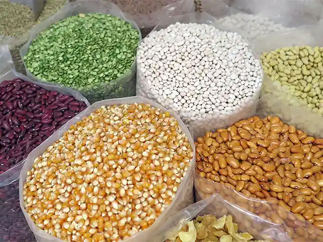 Produção de soja e aumento da área de milho impulsionam supersafra de grãos