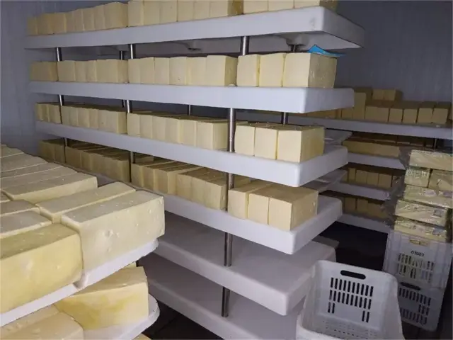 Fiscalização apreende cinco toneladas de queijo e fecha laticínio em Candeias, RO