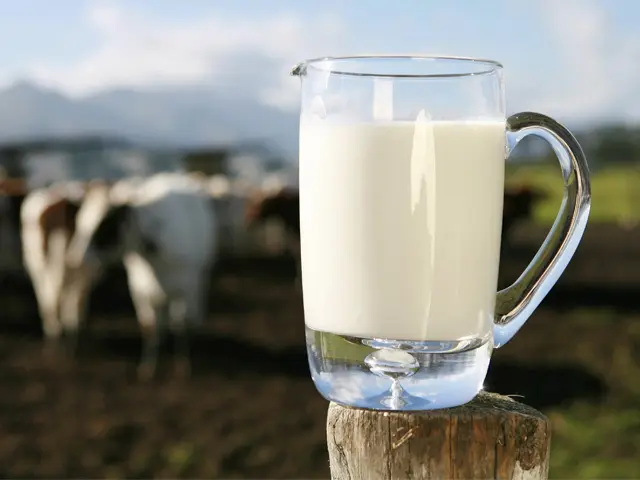 Óleos de soja e de linhaça na dieta de vacas melhoram a qualidade do leite para consumo humano