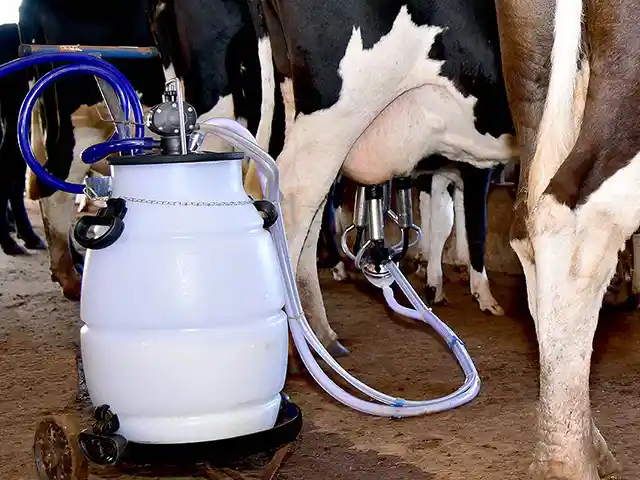 Ideagri lança sistema de gestão para pequenos produtores de leite