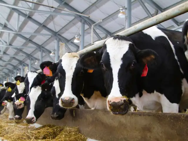 Conseleite/PR: Valor de referência para o leite de Março tem projeção de alta de 1,78%