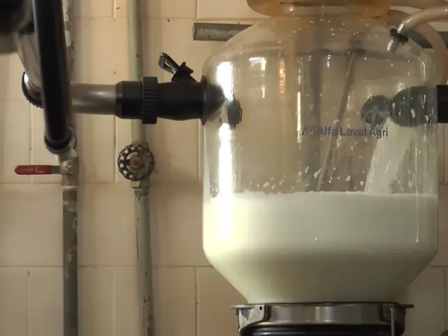 Produção de leite do Uruguai aumenta 5,5% em fevereiro
