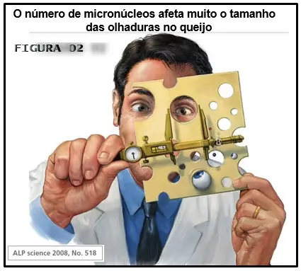 Queijo Suíço: o problema de olhaduras irregulares e mal distribuídas - uma revisão