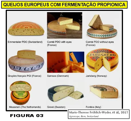 Queijo Suíço: o problema de olhaduras irregulares e mal distribuídas - uma revisão