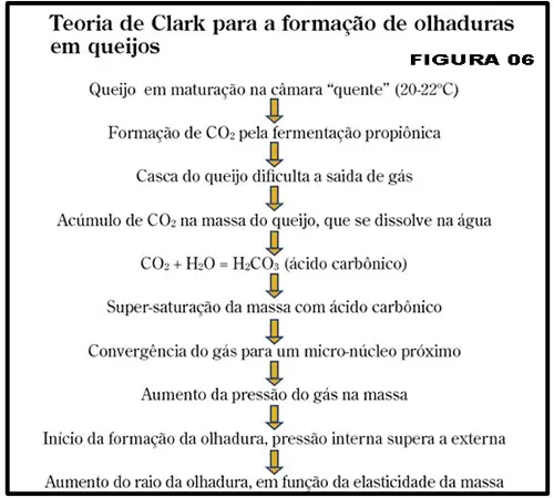 Queijo Suíço: o problema de olhaduras irregulares e mal distribuídas - uma revisão