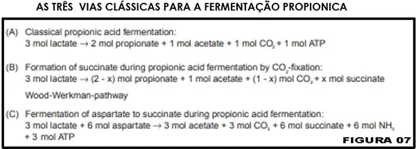 Queijo Suíço: o problema de olhaduras irregulares e mal distribuídas - uma revisão