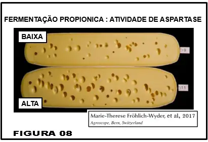 Queijo Suíço: o problema de olhaduras irregulares e mal distribuídas - uma revisão