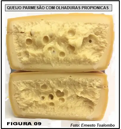 Queijo Suíço: o problema de olhaduras irregulares e mal distribuídas - uma revisão